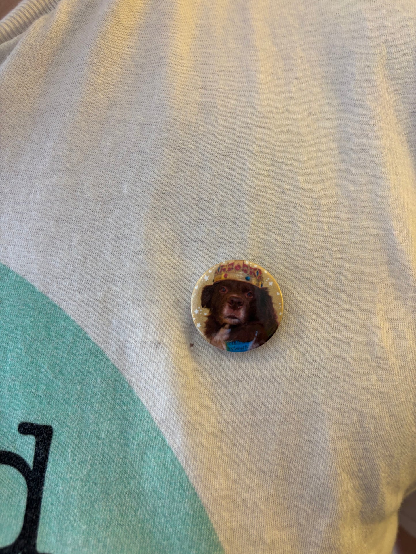 King Arthur Button Badge