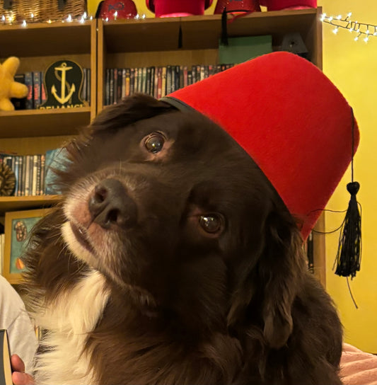 Fez Hat from Tinned Fish Reviews - Identical to What I Wear in Most of my Videos