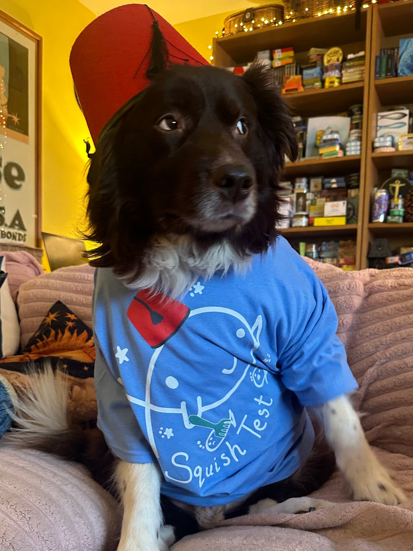 Squish Test T-shirt