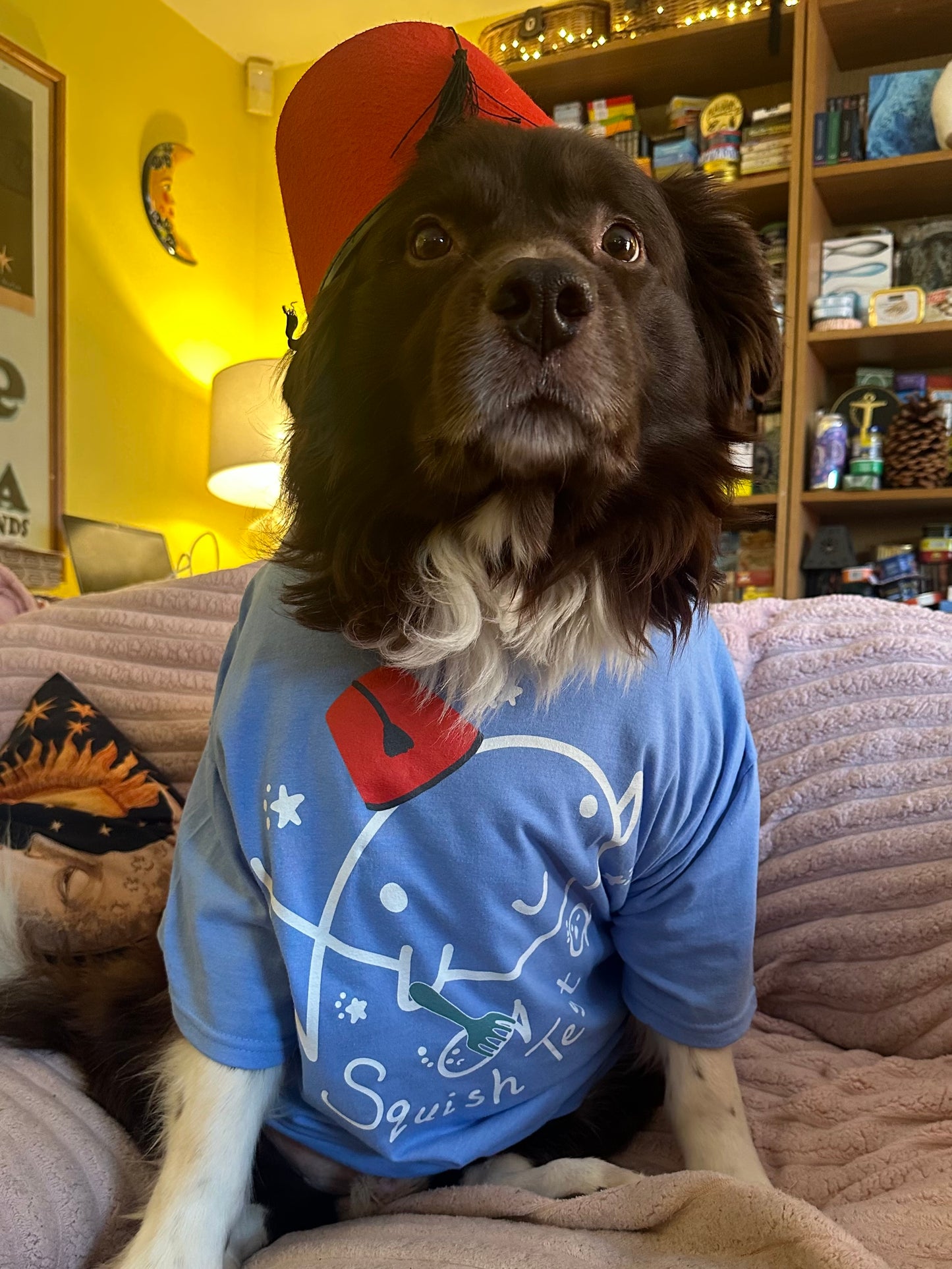Squish Test T-shirt