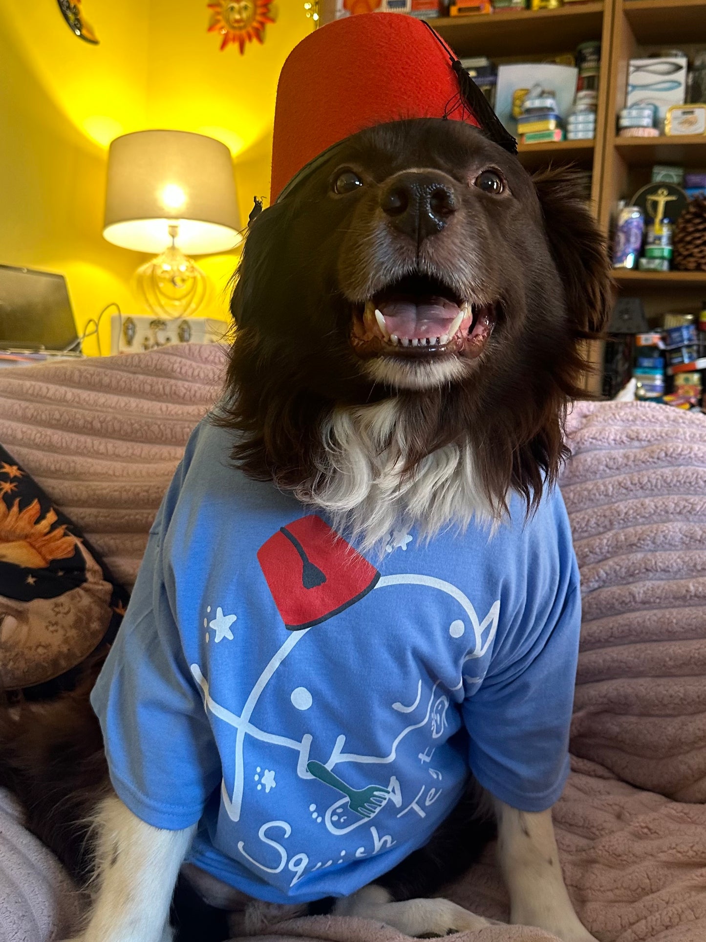 Squish Test T-shirt