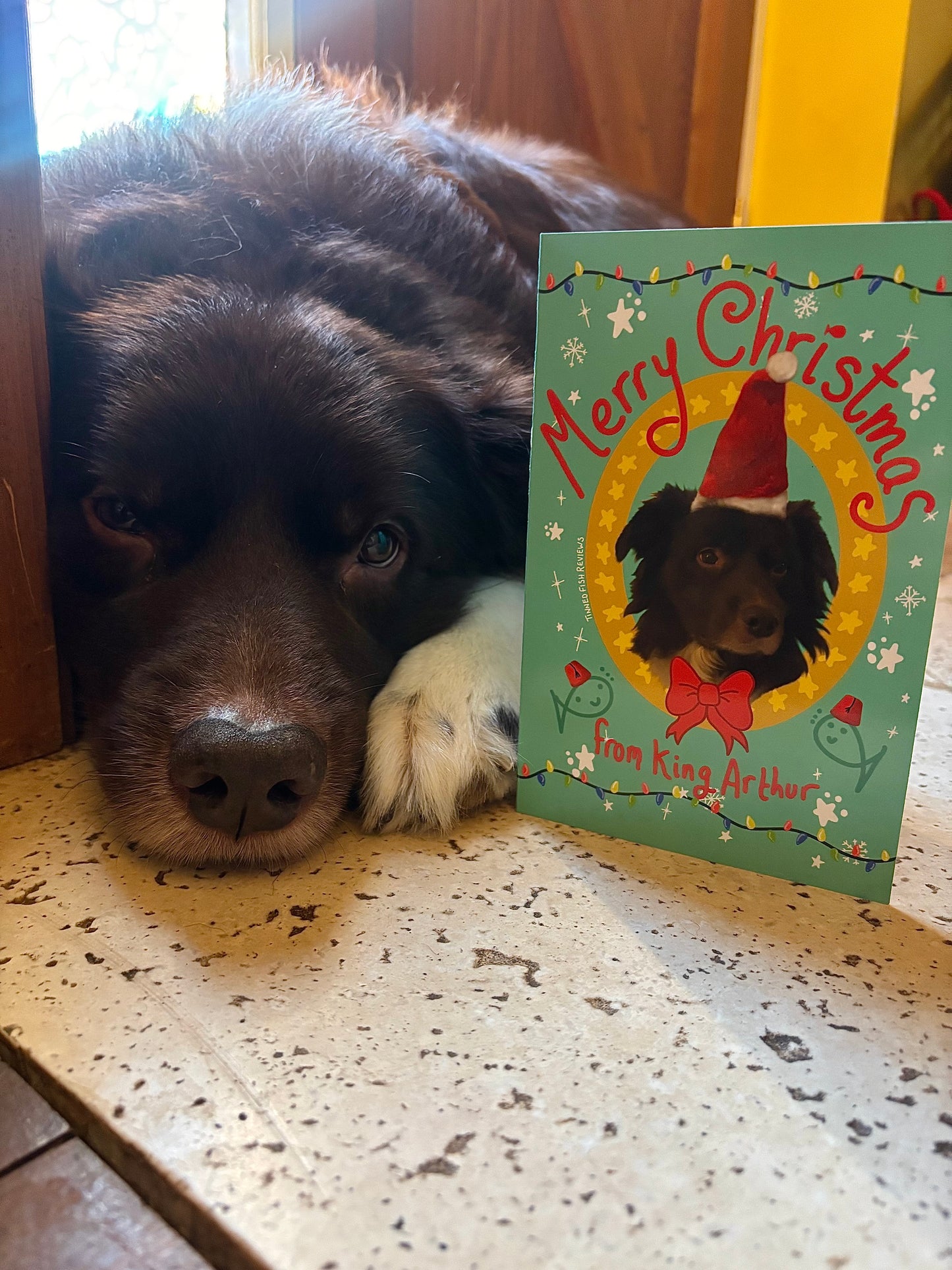 Handwritten King Arthur Christmas Card