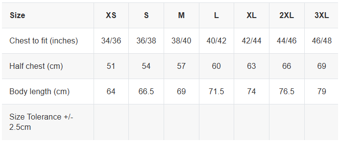 Merry Christmas Jumper and Badge